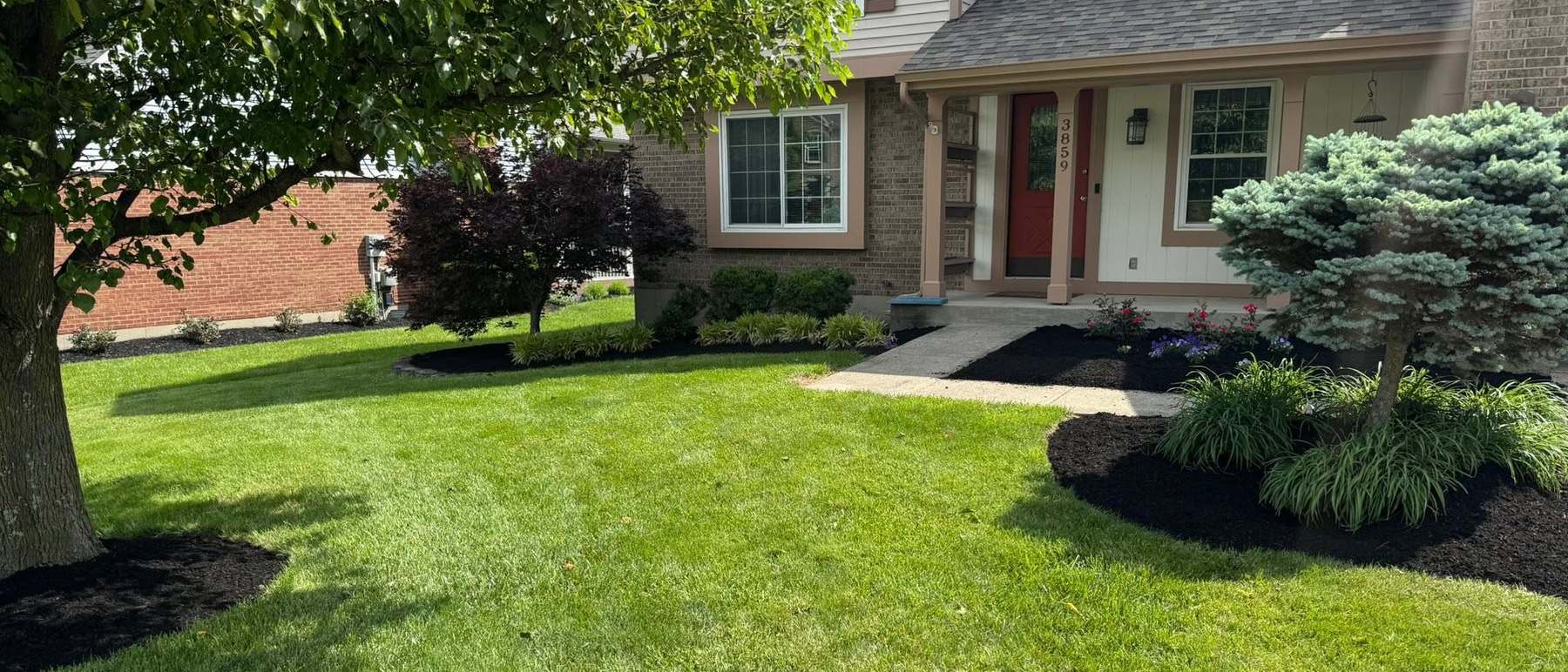 Finished front landscaping with evergreen plantings