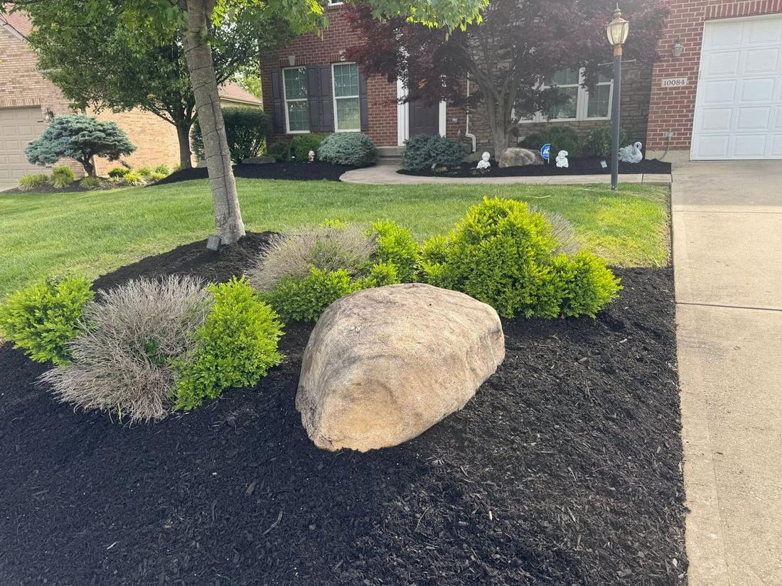 Bed with feature boulder and plantings