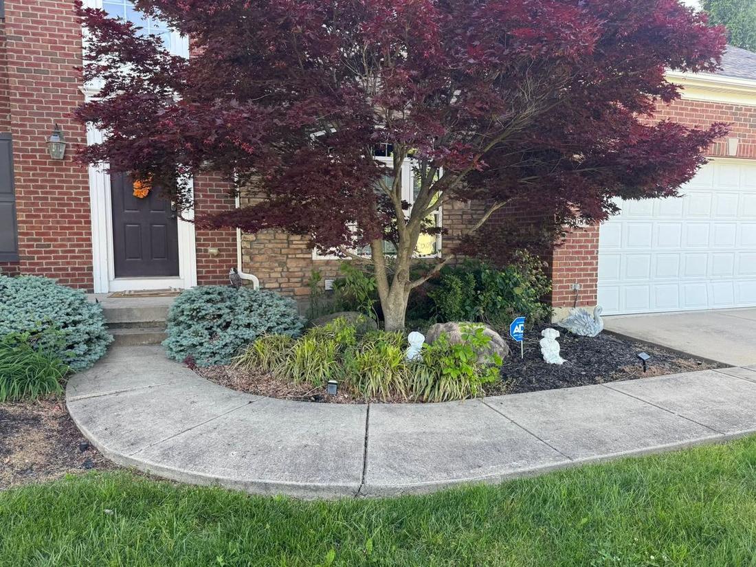 Curved bed edging along the drive