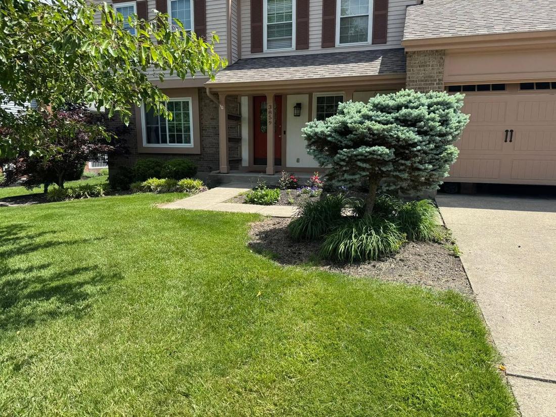 Full front-yard bed installation with fresh mulch